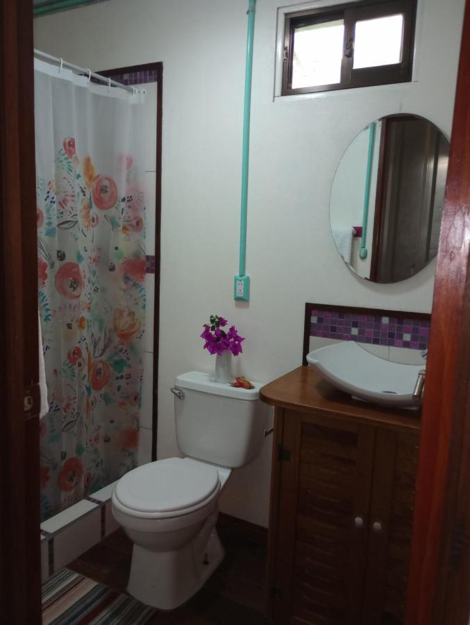 מלון Container House קאוויטה מראה חיצוני תמונה