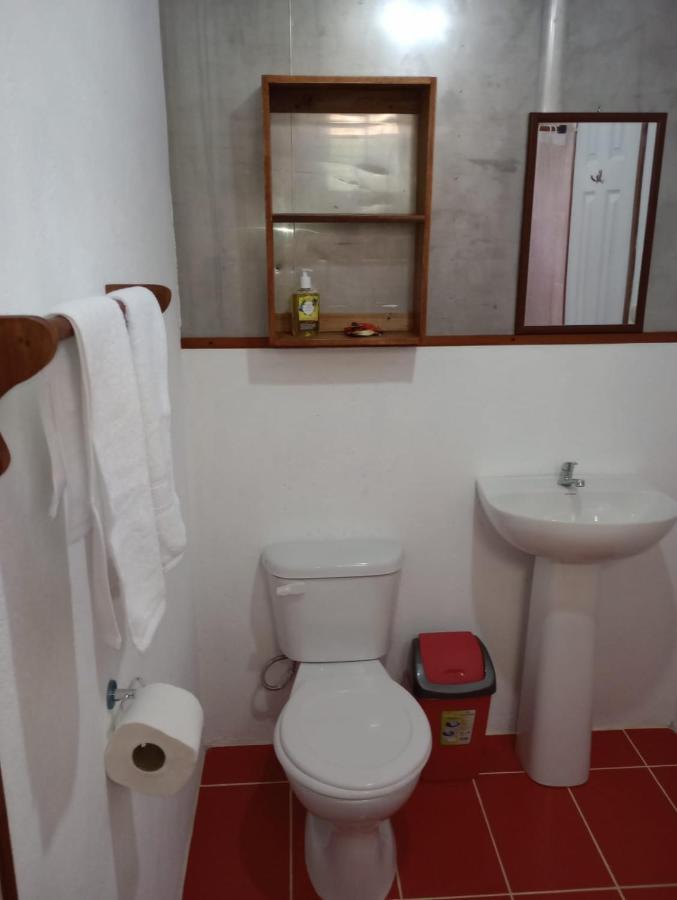 מלון Container House קאוויטה מראה חיצוני תמונה