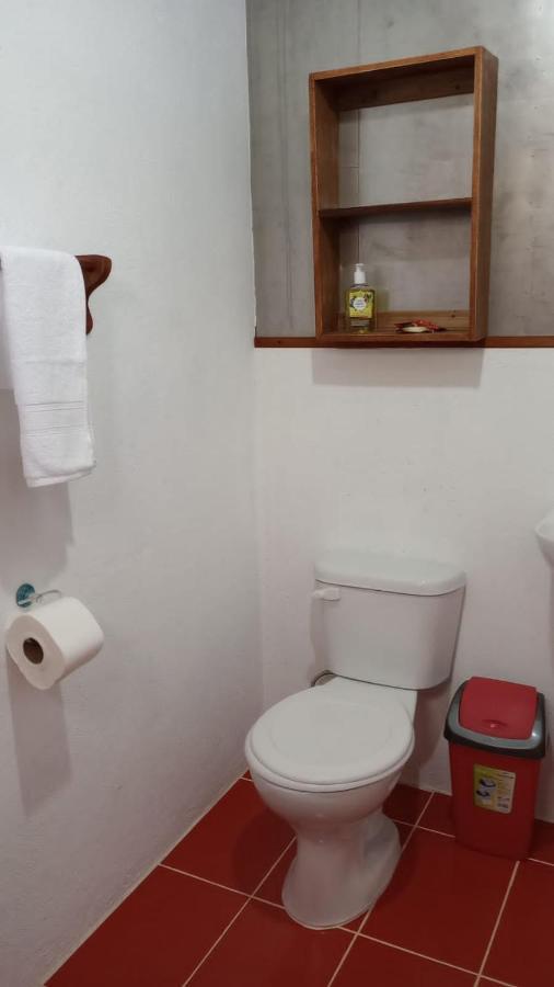 מלון Container House קאוויטה מראה חיצוני תמונה